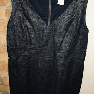 Shimmering Jean Dress